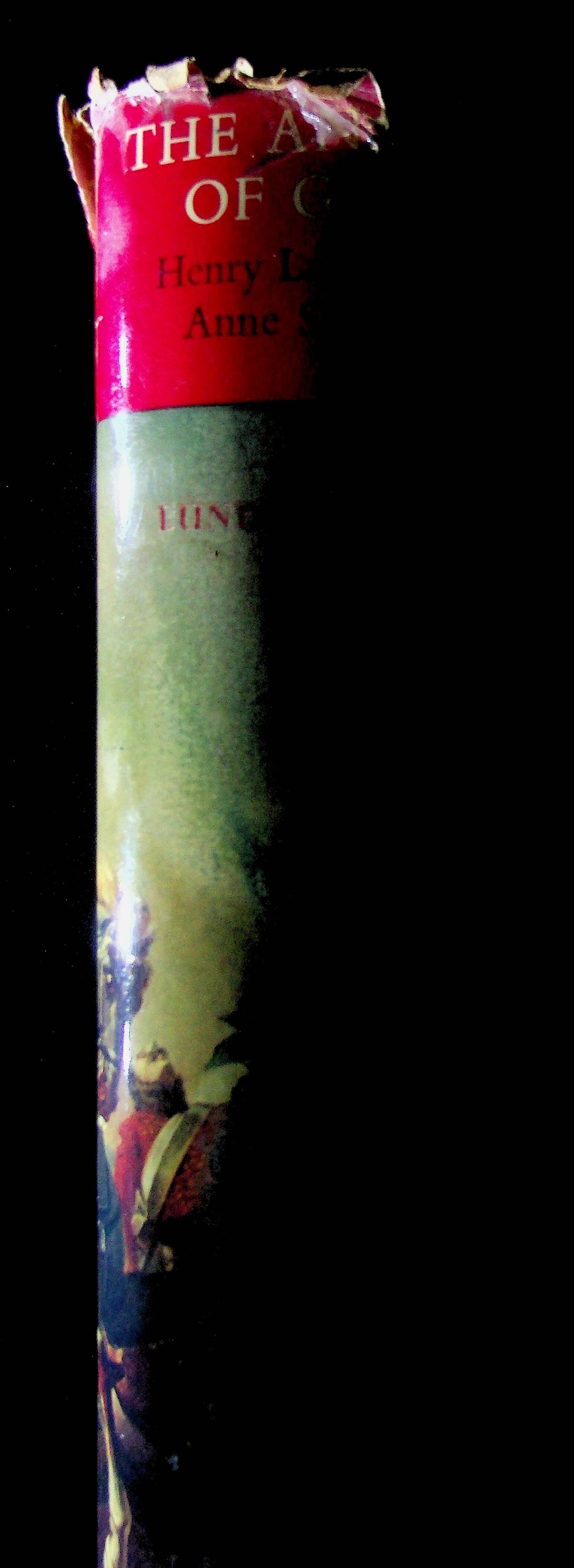 The Anatomy of Glory, Napoleon and his Guard: 1962 2nd Revised Edition