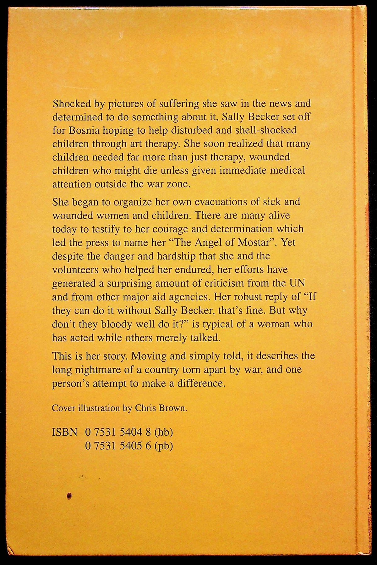 The Angel of Mostar by Sally Becker: NEW 1996 1st Edition Large Print Hardback