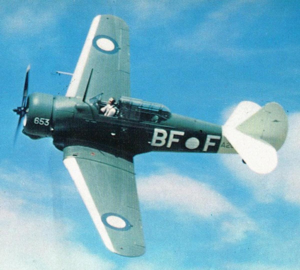 Wirraway AVP/ Download