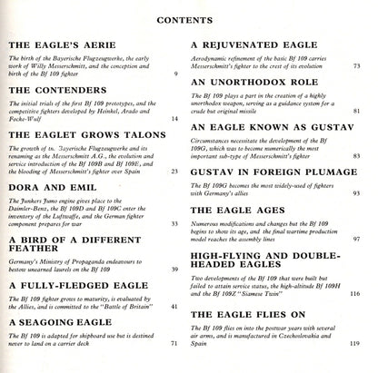 Augsburg Eagle by William green: 1971 First Edition Hardback