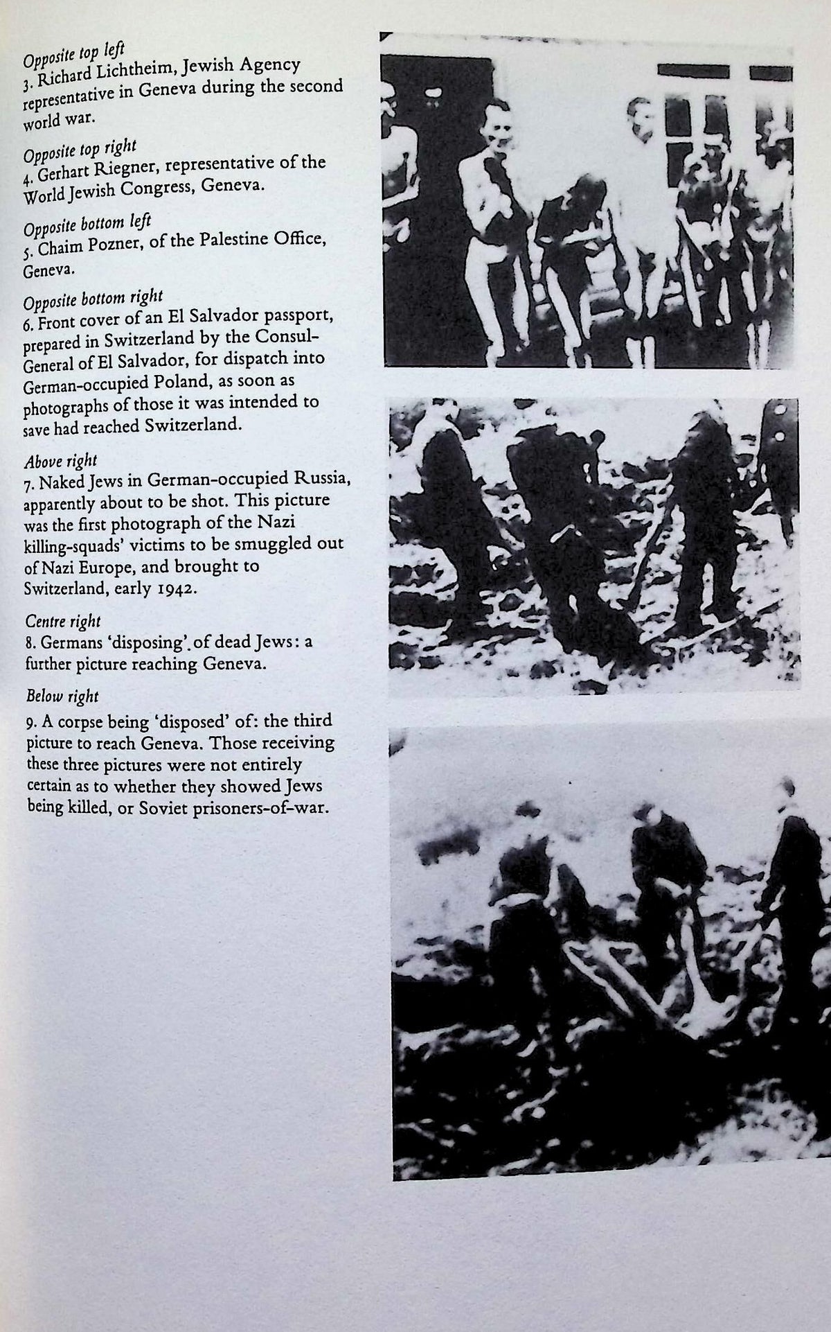 Auschwitz and The Allies by Martin Gilbert: 1981 First Edition Hardback