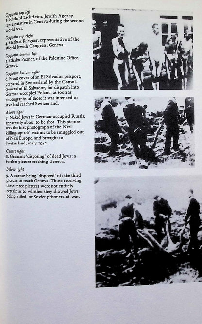 Auschwitz and The Allies by Martin Gilbert: 1981 First Edition Hardback
