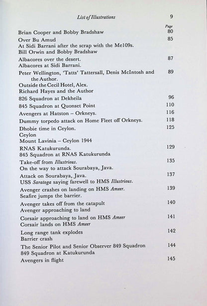 Avenger From The Sky: Donald Judd DSC 1985 1st edition hardback