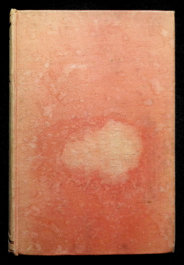 Blood and Iron; Imppressions From The Front in France and Flanders by McNair: 1916 HB
