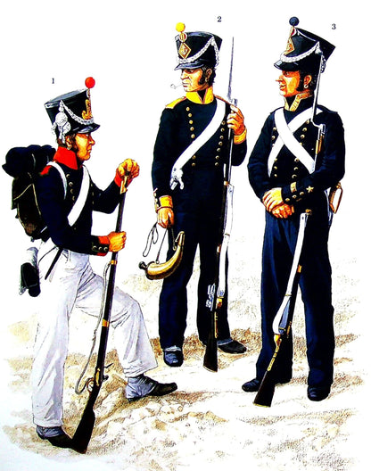 Napoleon's Sea Soldiers: Osprey 'Men at Arms' #81/ Soft Card Cover