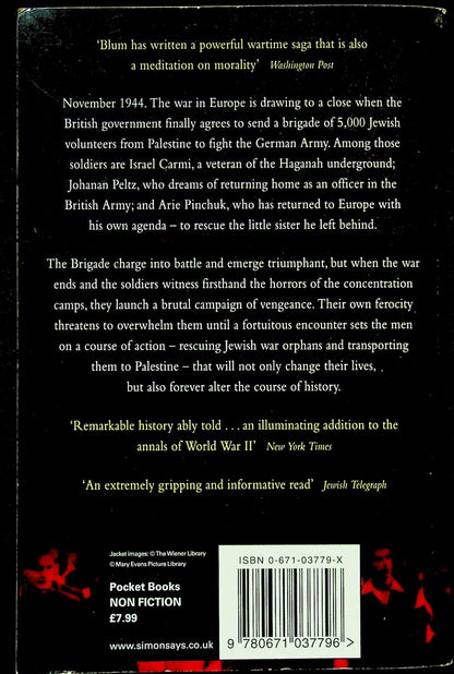 The Brigade by Howard Blum: NEW 2001 First Edition Paperback FreePost