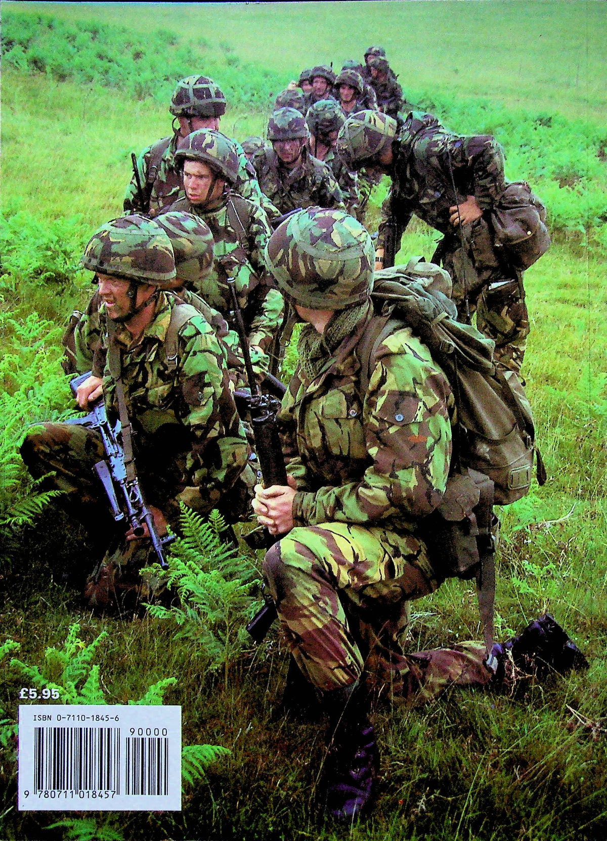 The Territorial Army: 1989 1st Edition Soft Card A4 Cover/ New