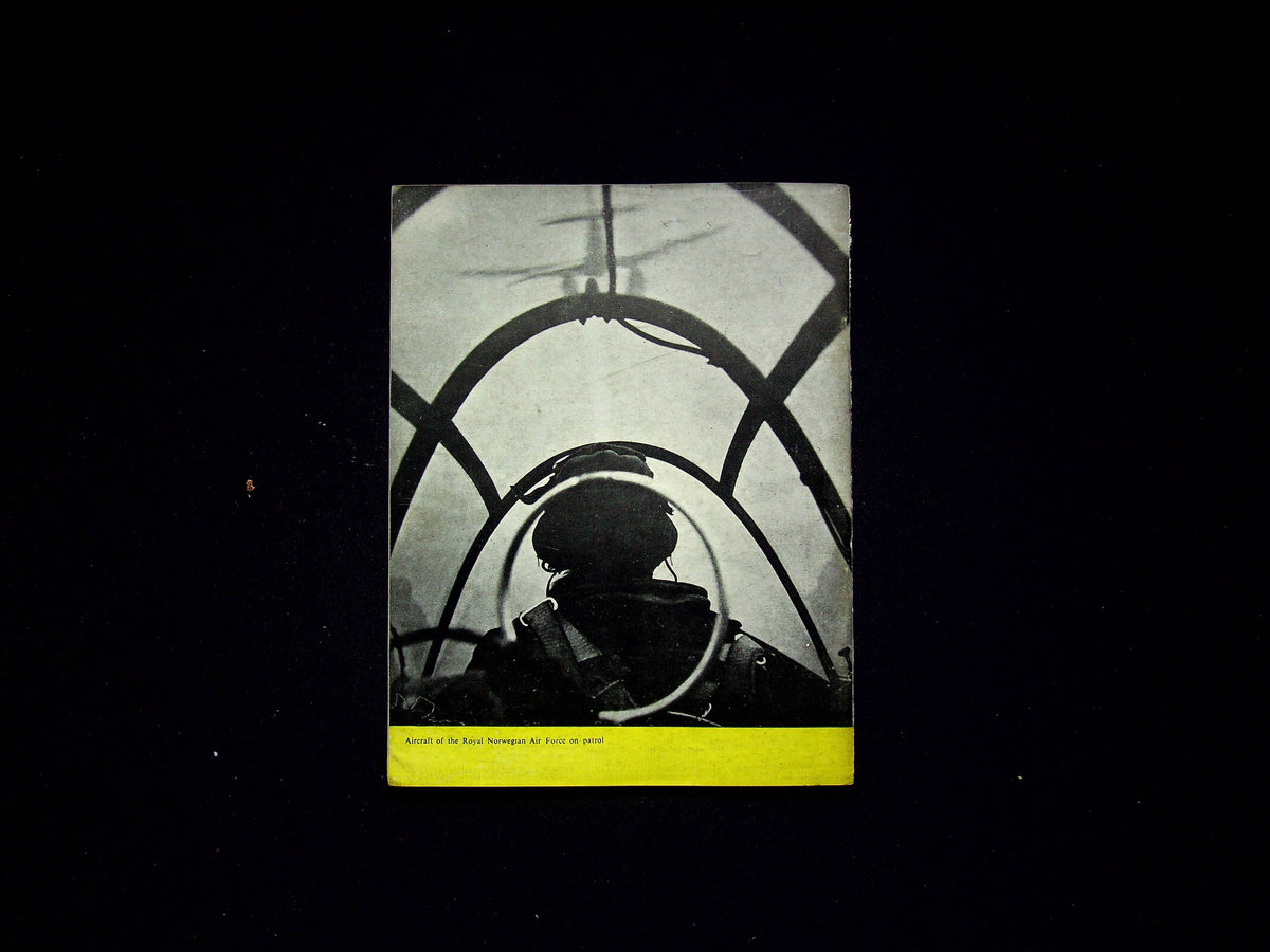 There's Freedom in the Air: Fliers from the Occupied Countries fight with the RAF: 1944 sb